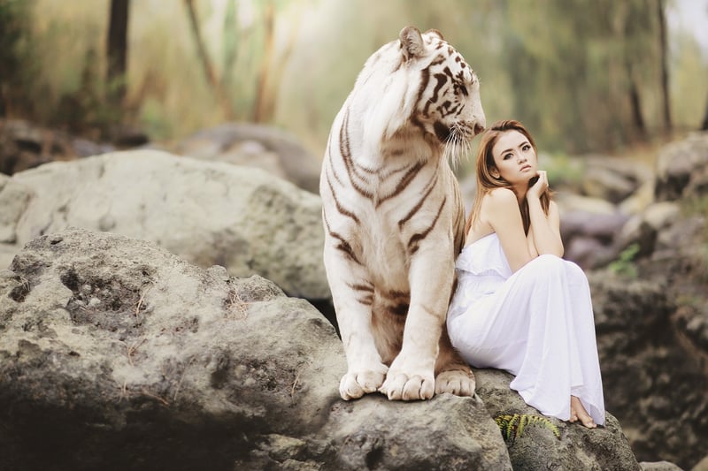 Asian Safari